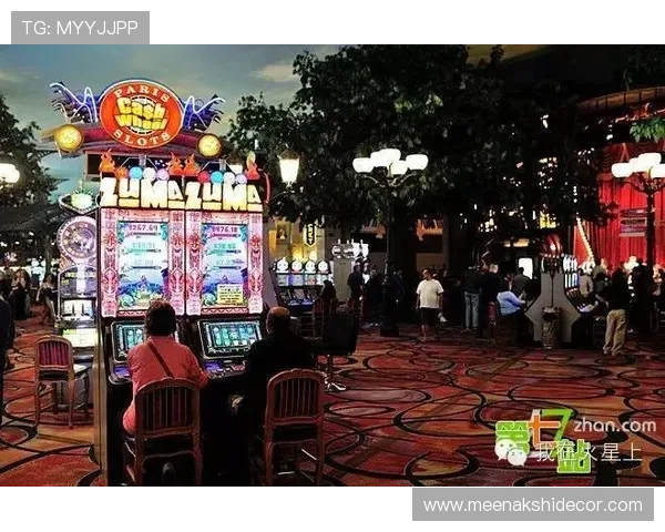 丰富多彩的老虎机试玩游戏合集，满足不同玩家的娱乐需求与挑战欲望