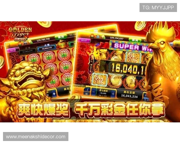 官方授权老虎机网址地址查询，确保玩家游戏体验安全无忧的正规平台